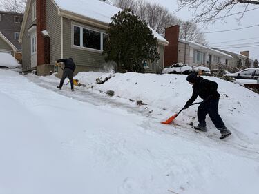 Halifax residents are pictured shoveling on Jan. 26, 2026. (CTV Atlantic / Brianne Foley)
