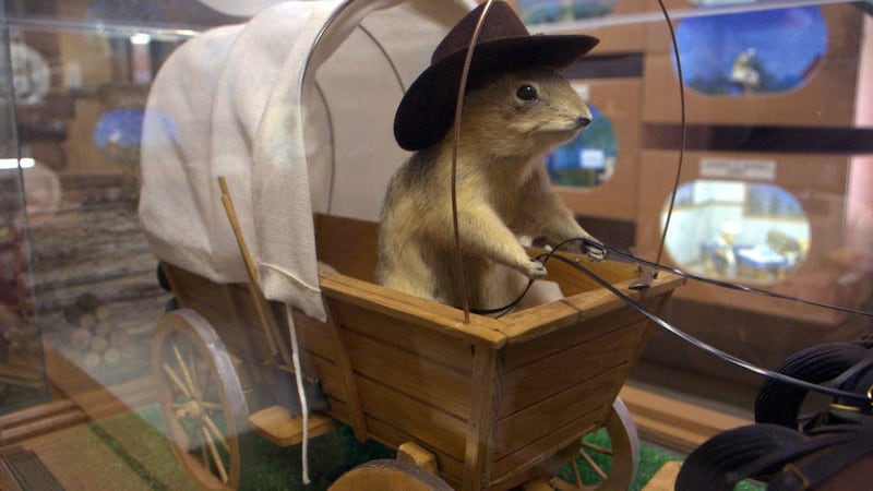 Alberta’s gopher museum shut down until further notice