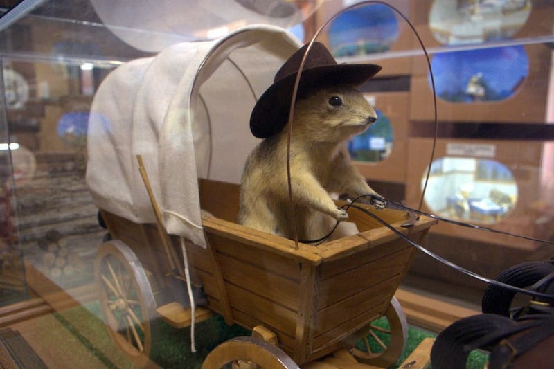 Alberta’s gopher museum shut down until further notice