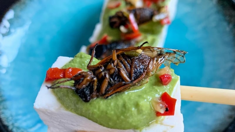 More than 40 per cent of study participants are open to eating insects