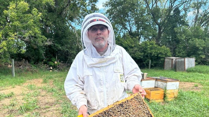 New round of tariffs could drive Canada’s beekeeping sector ‘out of business’