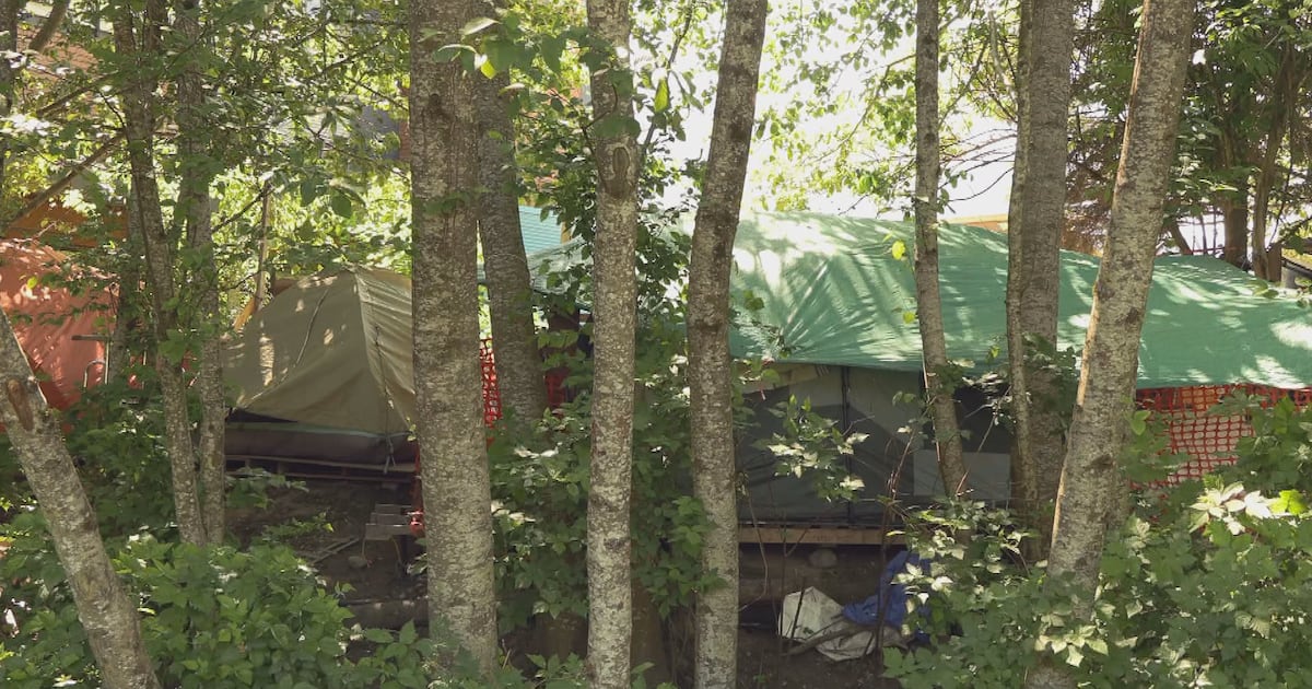 Spike in criminal activity near Squamish encampment raises safety concerns