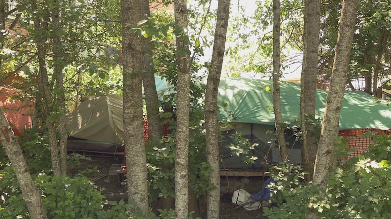 Spike in criminal activity near Squamish encampment raises safety concerns