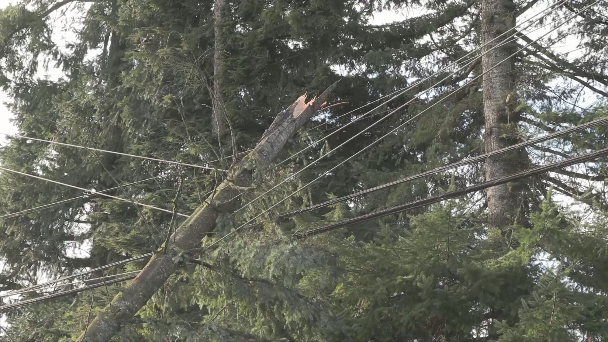 Clean up underway after B.C. windstorm – CTVNews
