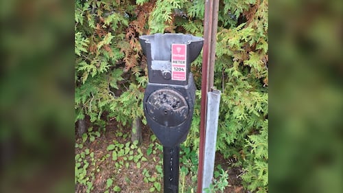 Timmins investigates nearly 40 damaged parking meters