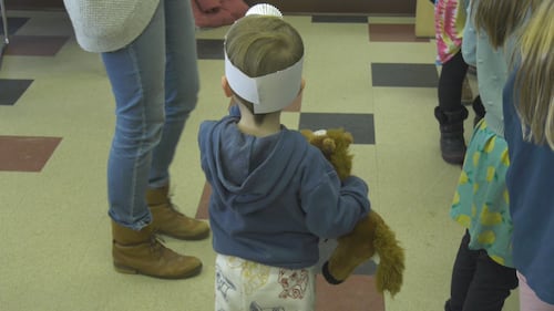 Children and their stuffed animals attend a teddy bear clinic at the Spruce Grove Public Library on March 27, 2026. (Sean McClune/CTV News Edmonton)