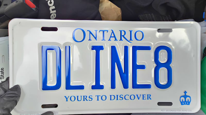 2 suspects accused of selling counterfeit licence plates linked to dozens of criminal cases in Ontario