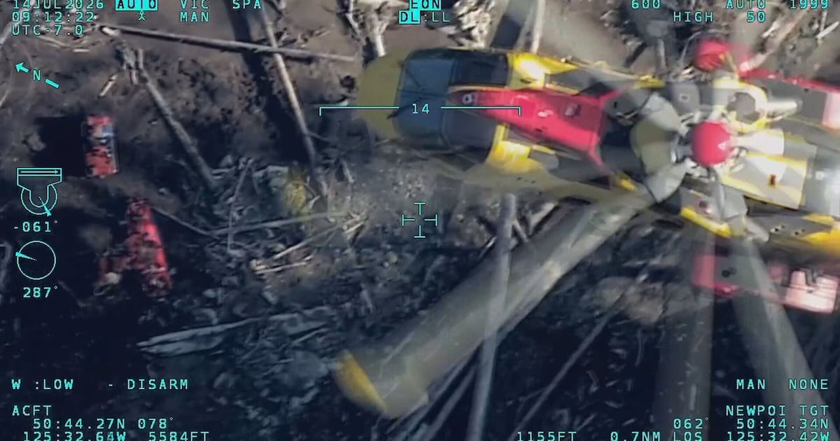 Video shows rescue of lone survivor from deadly B.C. helicopter crash