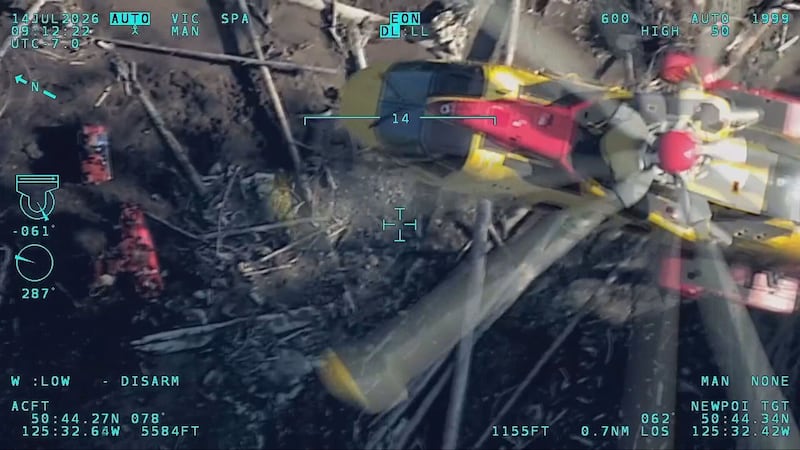 Video shows rescue of lone survivor from deadly B.C. helicopter crash