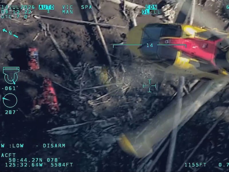 WATCH: Canadian Armed Forces shares video showing rescue of lone survivor from deadly helicopter crash