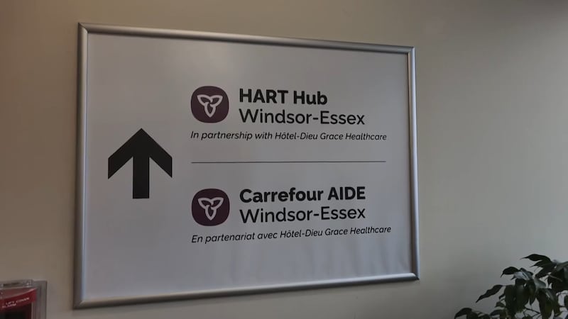 The impact of the Windsor-Essex HART Hub after one year