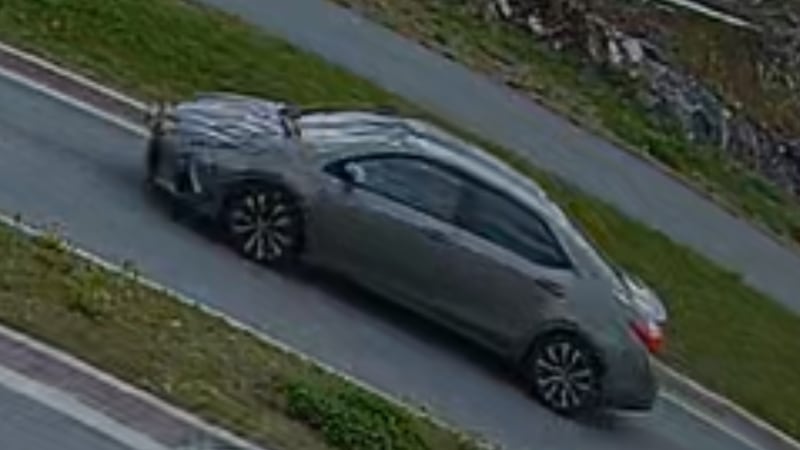 Police looking for driver after 11-year-old boy struck in Bedford, N.S.