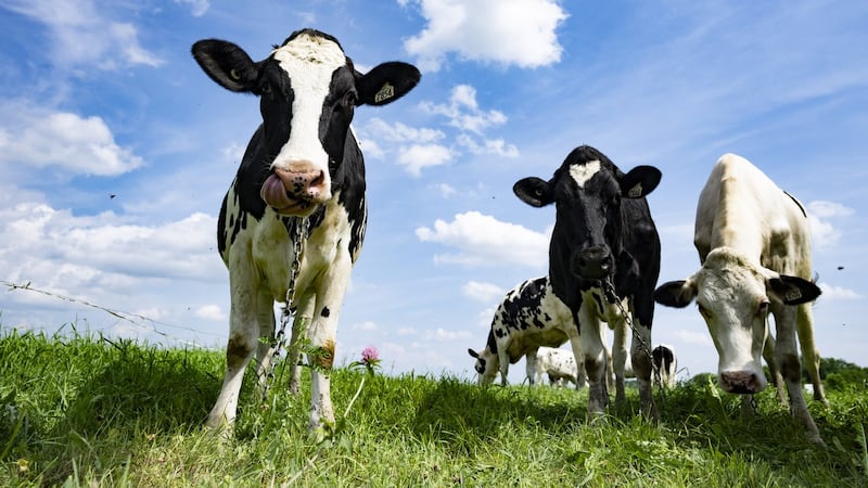 Farming groups applaud private member's bill aimed at speeding up product approvals