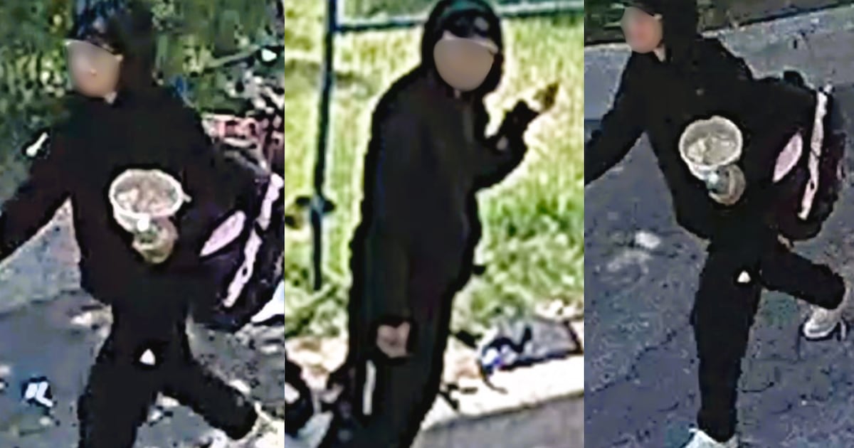 Calgary police release photos of Forest Lawn arson suspect