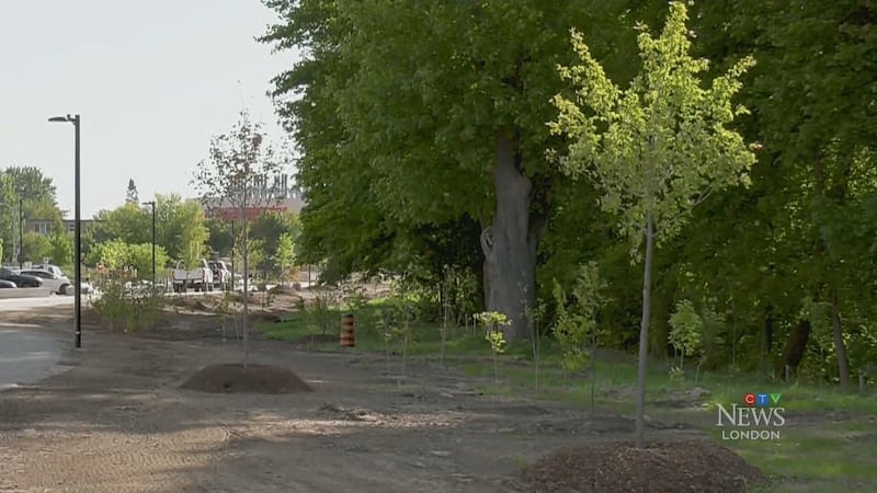 200 trees planted in London to mark city’s bicentennial