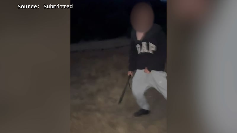 ‘Everything changed in a split second’: Witness recounts machete attack