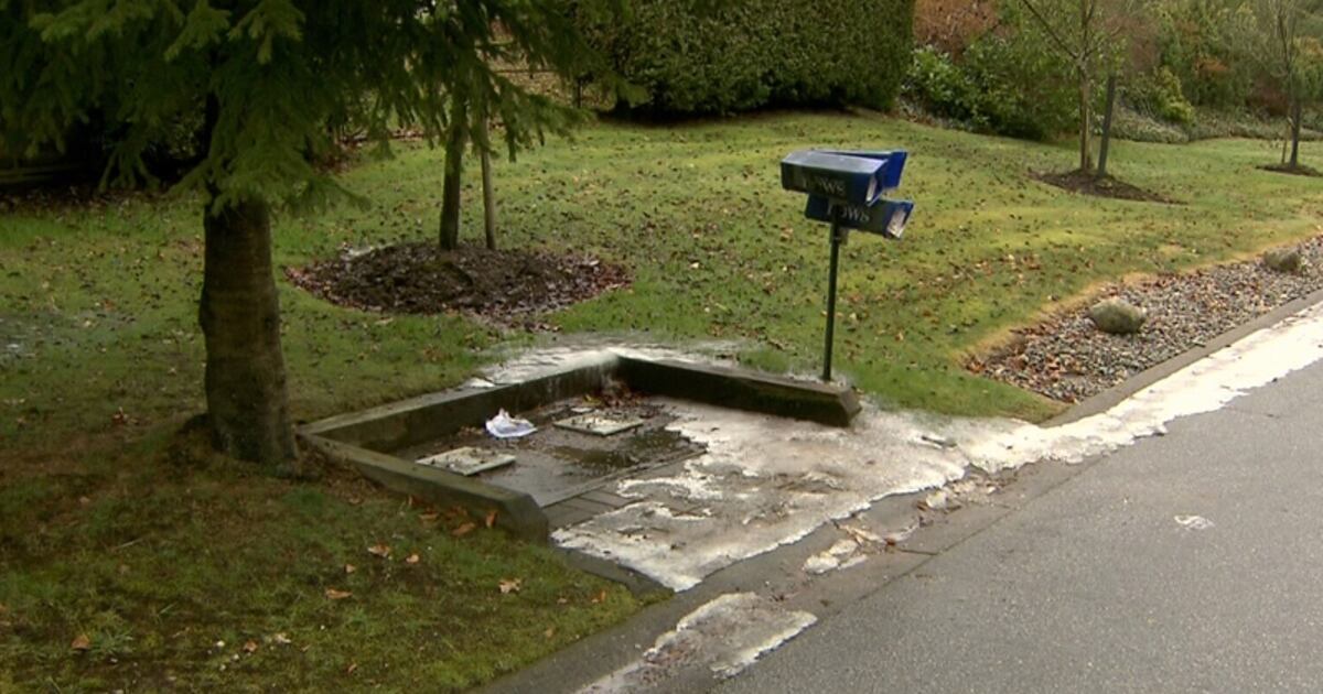 Mailbox Ripped Out Community mailboxes ripped from the ground in Surrey