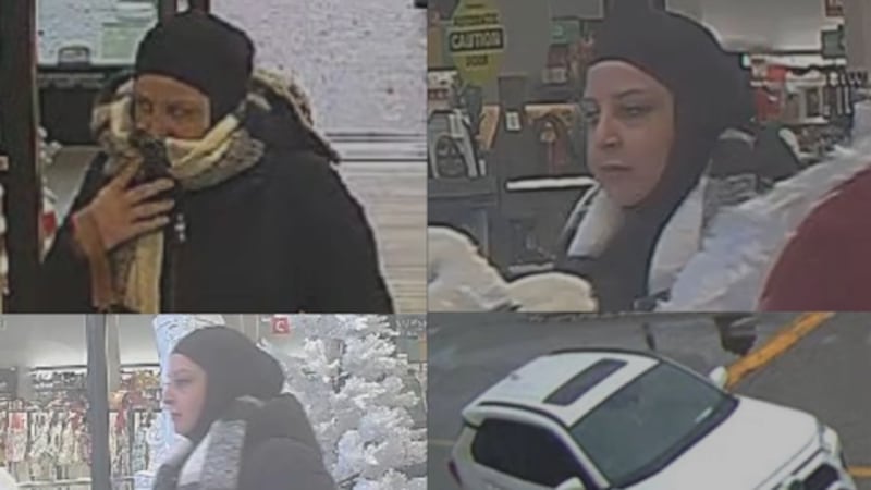 Recognize them? 13 retail theft suspects sought by Windsor police