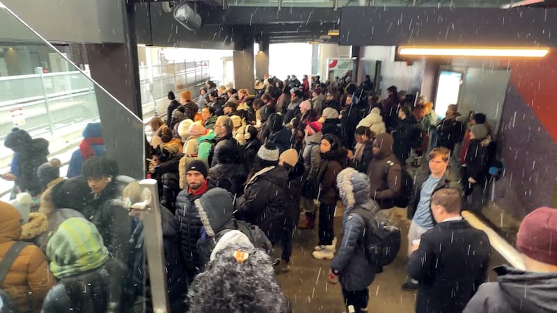 Councillor proposes 2 free weekends on OC Transpo buses, O-Train to compensate riders