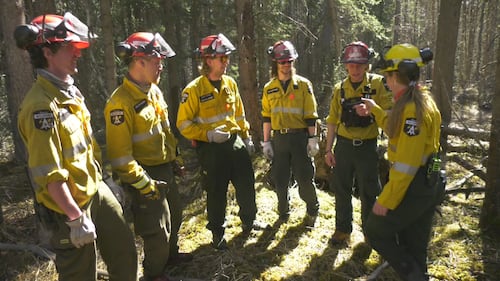 Alberta reports zero active wildfires in August for first time in 40 years