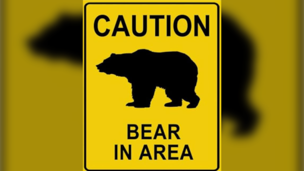 Baby bear tranquilized in downtown Canmore following altercation with mother elk
