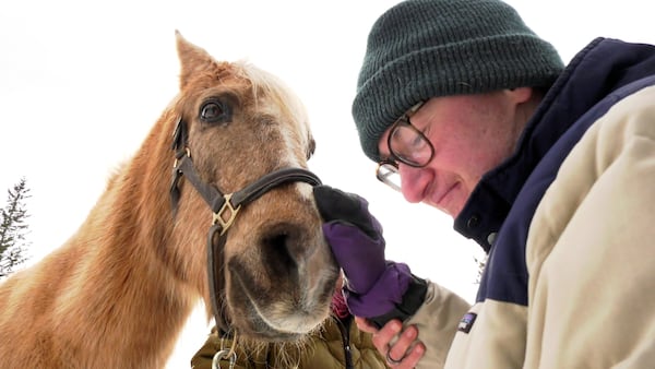 Canmore equine therapy organization hosting documentary screening to raise funds, awareness