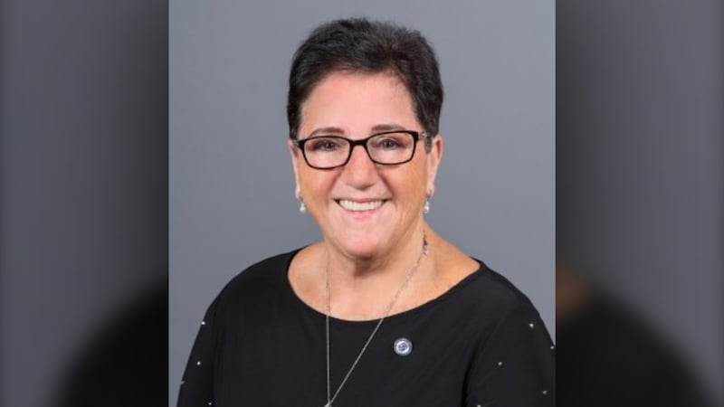 Sue Foxton ending her run as North Dumfries mayor