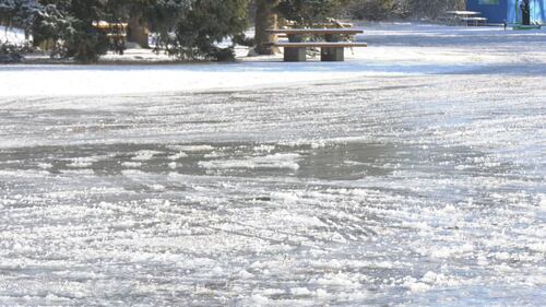 Sir Wilfrid Laurier Park in Edmonton, Alta. on Nov. 28, 2025. (Sean McClune/CTV News Edmonton)
