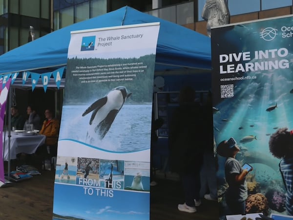 Ocean Week Canada returns with events across Nova Scotia in June