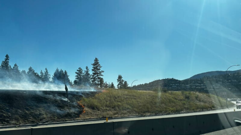 Mounties say arson suspect arrested after grass fire in West Kelowna, B.C.