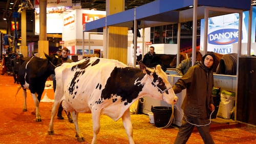French farmers block roads over cow disease cull