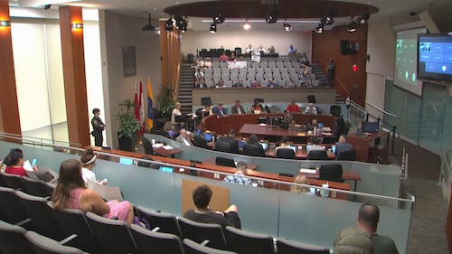 Hamilton city council rejects one-year pause on AI data centres