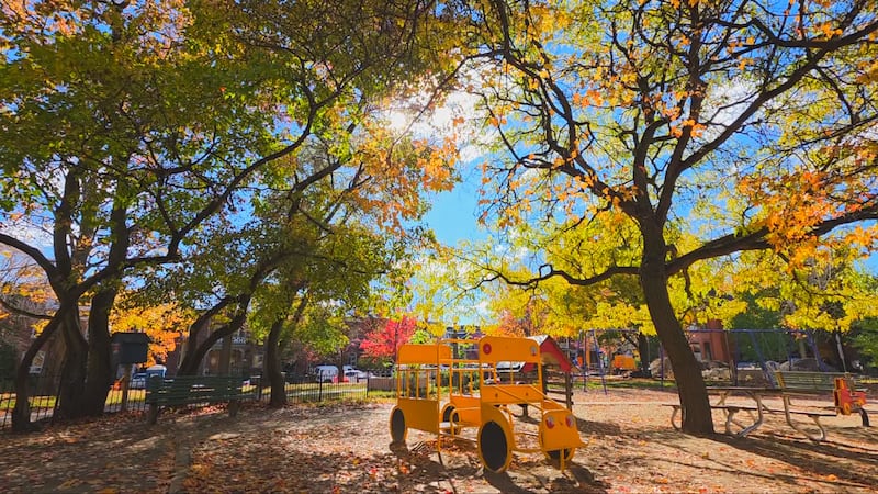 Ontario doctor speaks on the health benefits of the outdoors