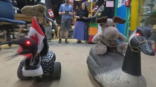 Meet ‘Celoon Dion’ and the B.C. couple who built a trio of Canadian-inspired robots