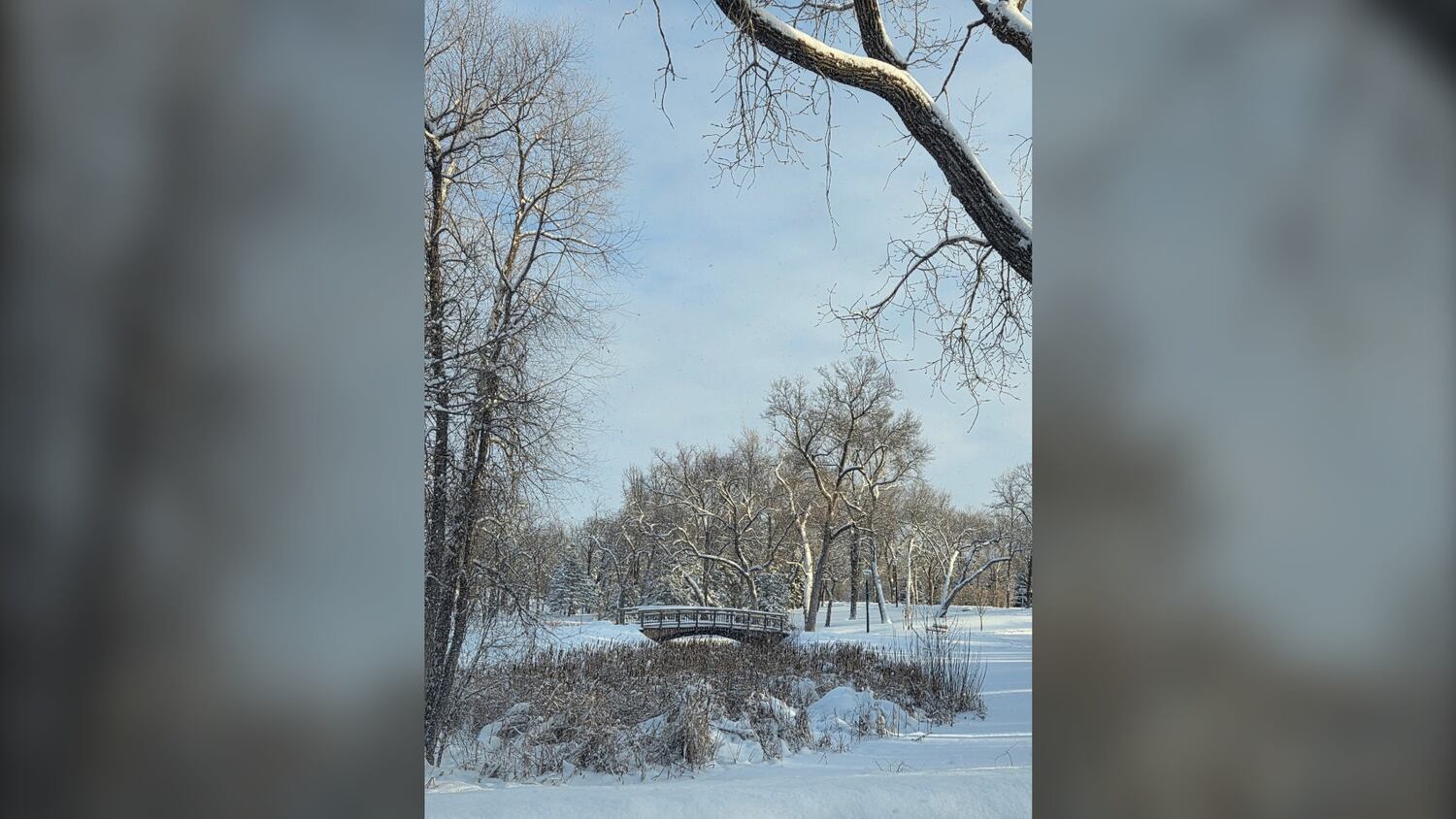 The difference between hoarfrost and rime ice – CTVNews