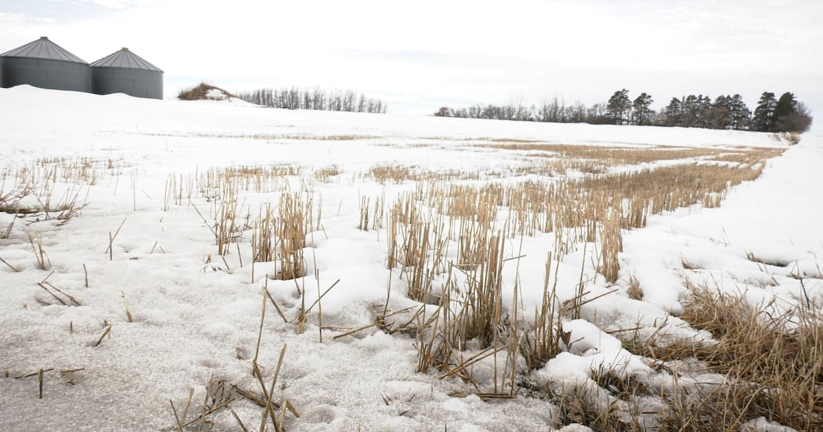 Edmonton Spring Runoff Saskatchewan farmers eye spring runoff as temperatures rise