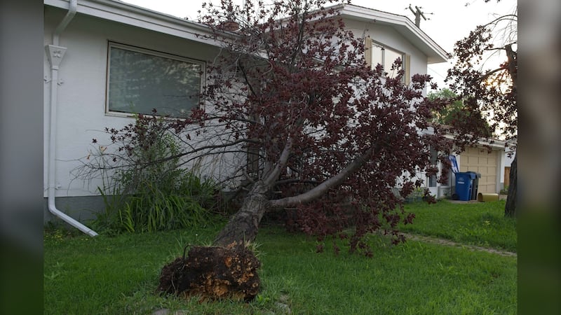 Summer storm hits southern Manitoba