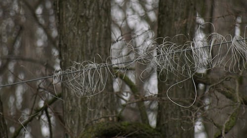 Copper thefts along Killaly Road in London, Ont.