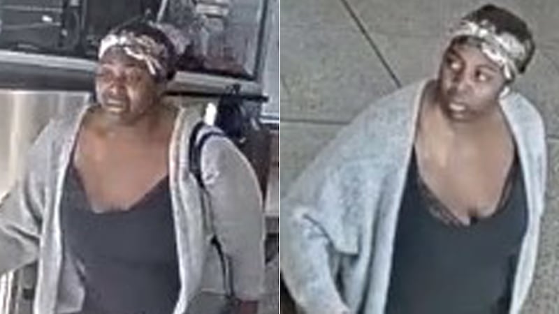 Toronto police search for suspect in TTC elevator assault
