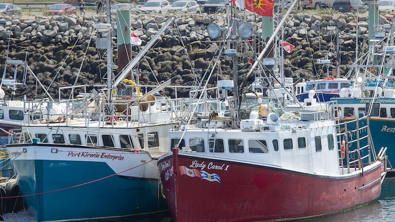 N.S. fishers plan appeal after court dismisses lobster treaty rights case