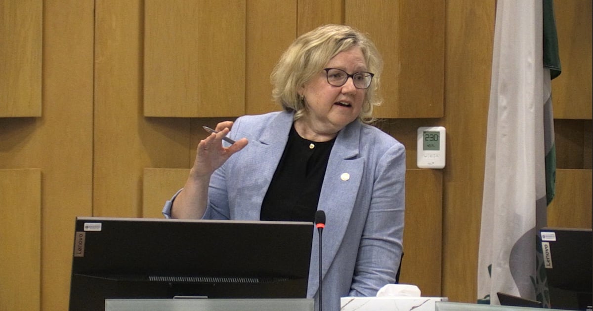 Stevenson claims council plays favourites when wealthier neighbourhoods oppose infill development