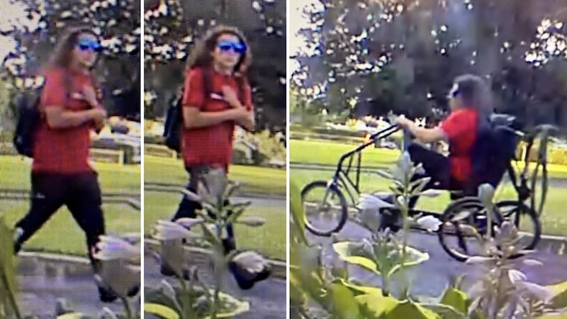 Ottawa police seeking suspect who stole specialty bike for man with Parkinson’s disease