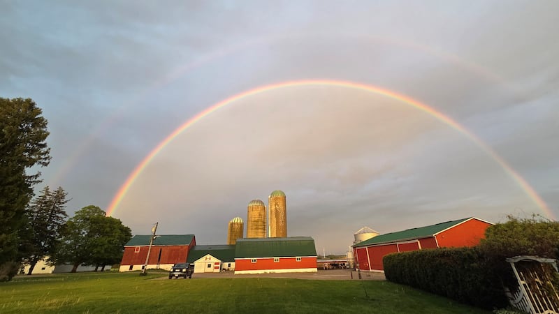 Strong winds, heavy rain, risk of thunderstorms expected across southwestern Ontario tonight
