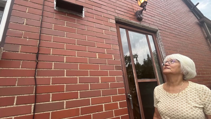 Rise in bat, raccoon encounters prompt Windsor-Essex health warning