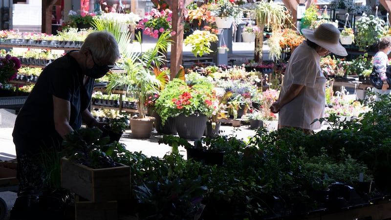 With Mother’s Day on Sunday, soaring fuel costs are taking a bite out of profits at garden centres