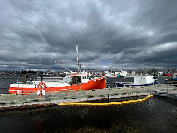 New lobster supply hopes to renew interest from Chinese market