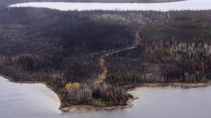 Feds investing $1 billion for road to Ring of Fire in Ontario: Carney