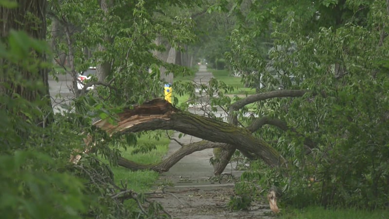 Calgary crews to help Edmonton with post-storm cleanup efforts