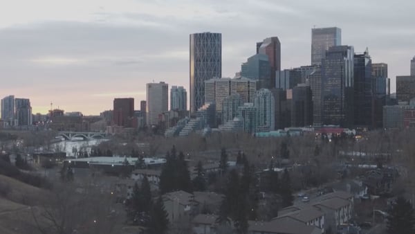 New year brings higher fees for Calgarians