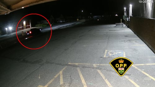 OPP seek public’s help after northern Ontario lumber theft